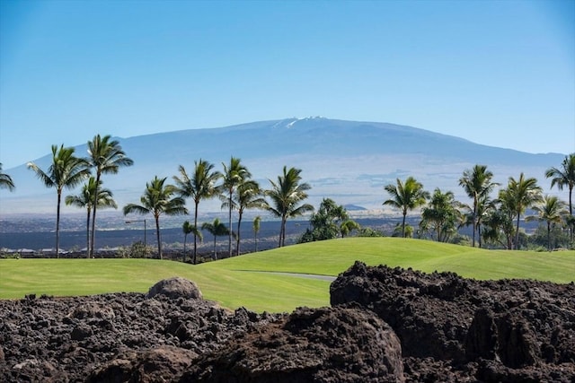 68-1083 Honokaope Pl, Kamuela, HI 96743