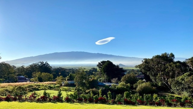 65-1104 Hokuula Rd, Kamuela, HI 96743 - mountain view