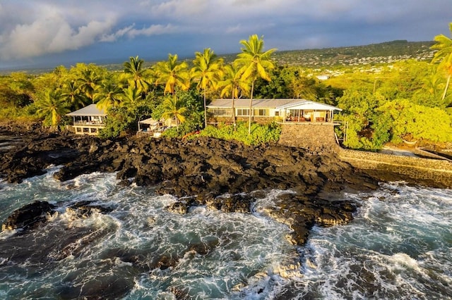 77-6300 Alii Dr, Kailua-Kona, HI 96740 - exterior view of a forest