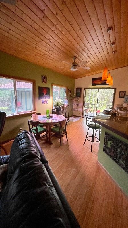 11-3324-A Mokuna St, Volcano, HI 96785 - living area featuring wooden ceiling, healthy amount of natural light, and wood finished floors
