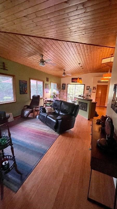 11-3324-A Mokuna St, Volcano, HI 96785 - living room with wood ceiling, healthy amount of natural light, and wood finished floors