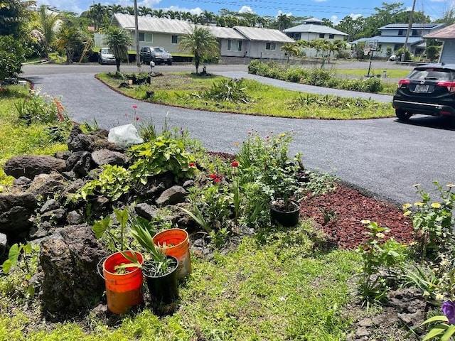 126 W Kinai Pl, Hilo, HI 96720 - view of yard with a residential view