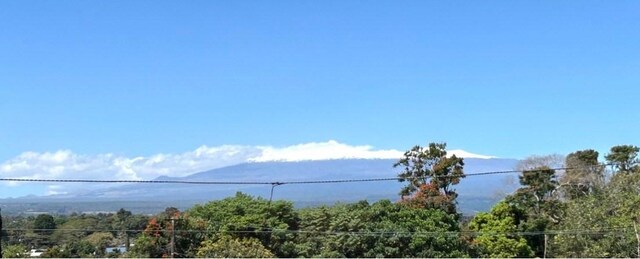 126 W Kinai Pl, Hilo, HI 96720 - water view featuring a heavily wooded area