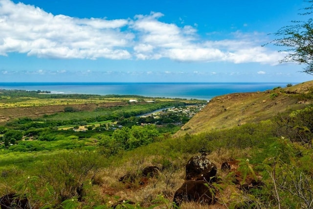 Off Menehune Rd, Waimea, HI 96796