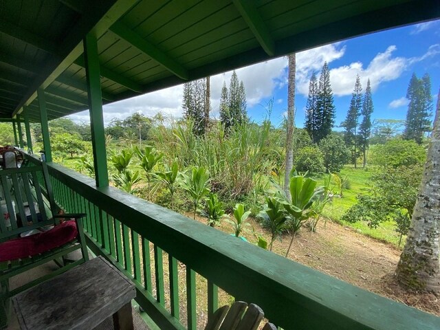 15-2963 Homestead Rd, Pahoa, HI 96778 - photo 14