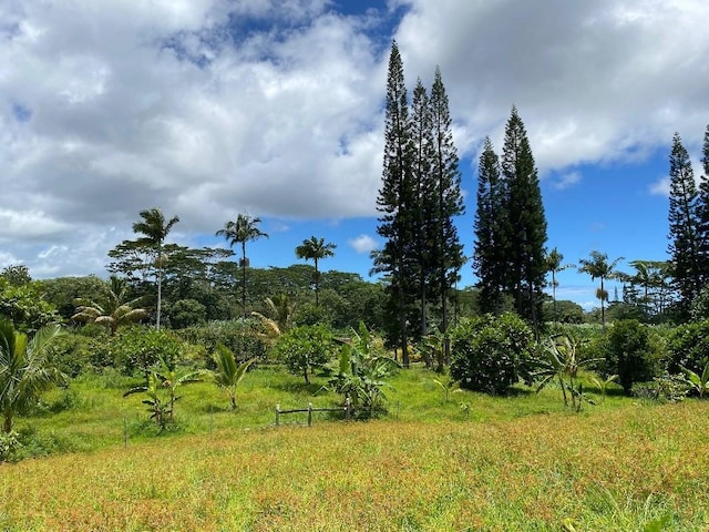 15-2963 Homestead Rd, Pahoa, HI 96778 - photo 27