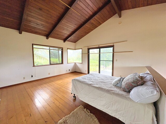 15-2963 Homestead Rd, Pahoa, HI 96778 - photo 10