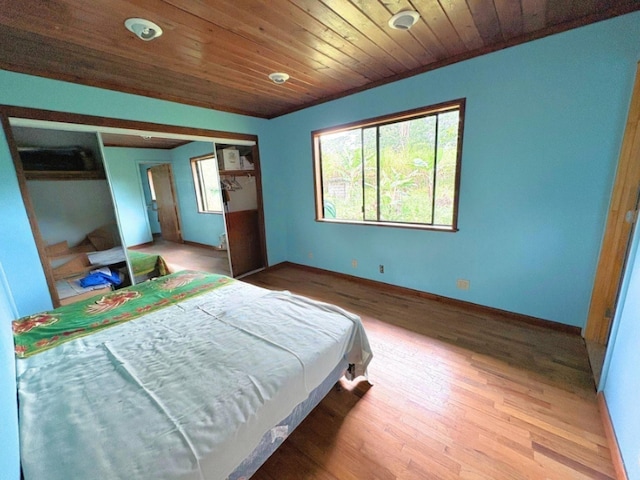 15-2963 Homestead Rd, Pahoa, HI 96778 - photo 16