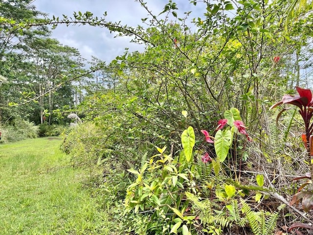13-3360 Kupono St, Pahoa, HI 96778 - photo 22