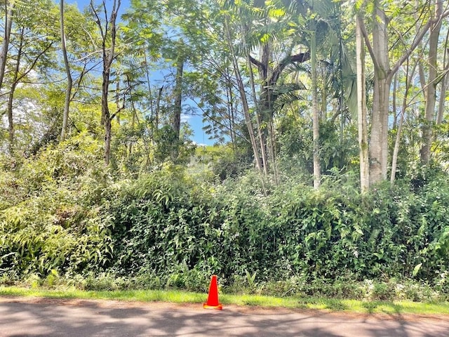 13-3360 Kupono St, Pahoa, HI 96778 - photo 25