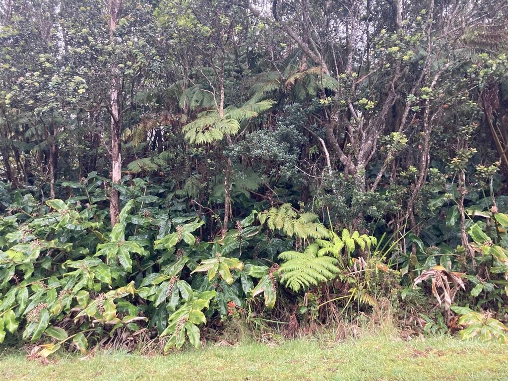 590 Nahelenani St, Volcano, HI 96785 - photo 2