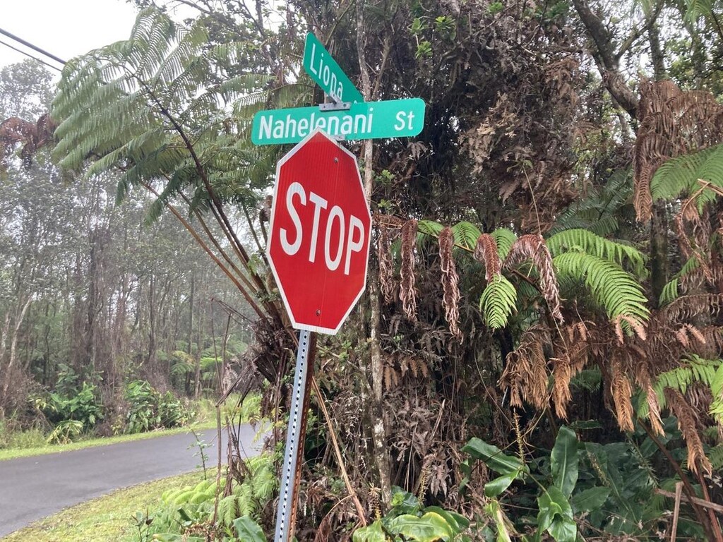 590 Nahelenani St, Volcano, HI 96785 - photo 4