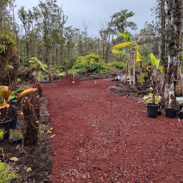 11-3004 Kaleponi Dr, Volcano, HI 96785 - photo 3