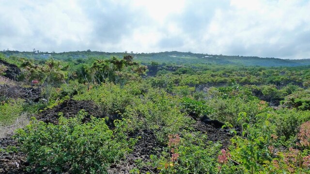 87-3179 Honu Hiamoe Rd, Captain Cook, HI 96704 - photo 5