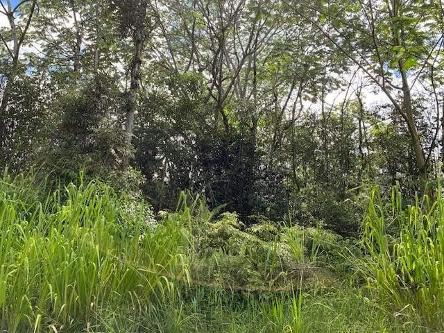 36th Ave, Kurtistown, HI 96760 - photo 1
