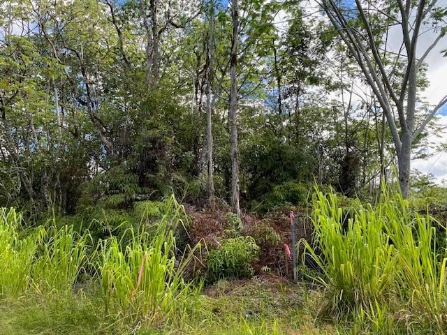 36th Ave, Kurtistown, HI 96760 - photo 2