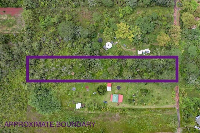 36th Ave, Kurtistown, HI 96760 - photo 6