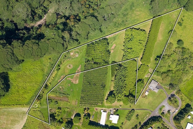 28-1829 Old Mamalahoa Hwy, Honomu, HI 96728 - photo 2