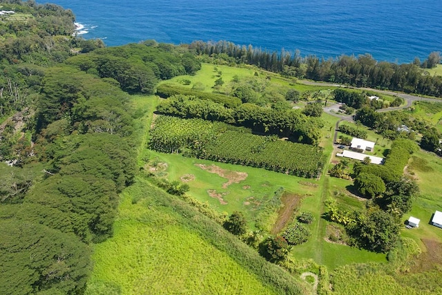 28-1829 Old Mamalahoa Hwy, Honomu, HI 96728 - photo 12