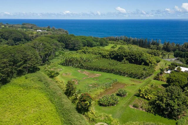 28-1829 Old Mamalahoa Hwy, Honomu, HI 96728 - photo 13