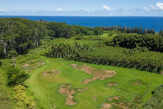 28-1829 Old Mamalahoa Hwy, Honomu, HI 96728 - photo 14