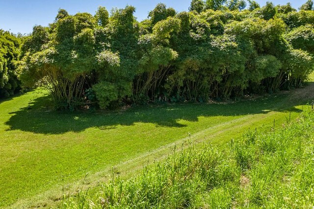 28-1829 Old Mamalahoa Hwy, Honomu, HI 96728 - photo 23