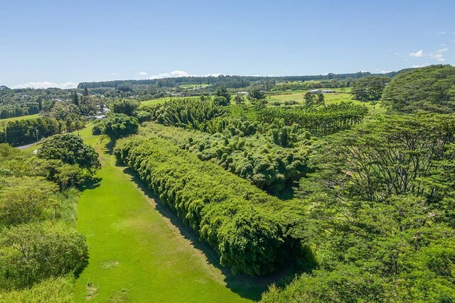 28-1829 Old Mamalahoa Hwy, Honomu, HI 96728 - photo 27