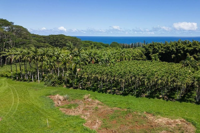 28-1829 Old Mamalahoa Hwy, Honomu, HI 96728 - photo 30