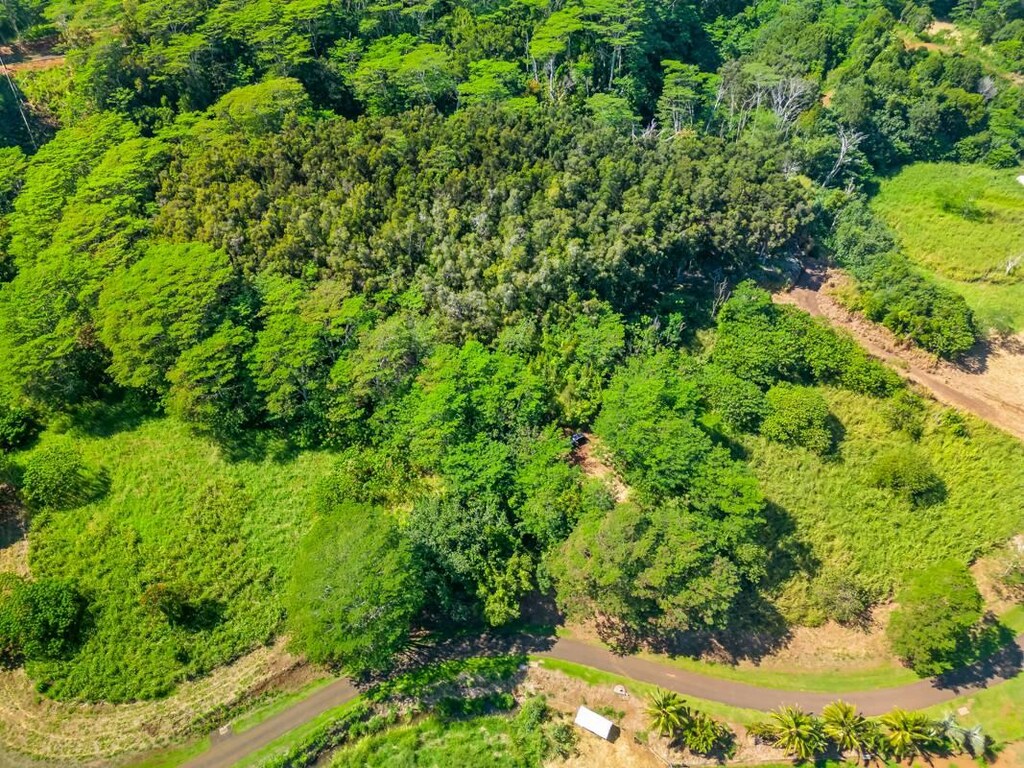 Unit 2C, Kapaa, HI 96746 - photo 2