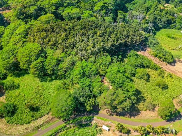 Unit 2C, Kapaa, HI 96746 - photo 2