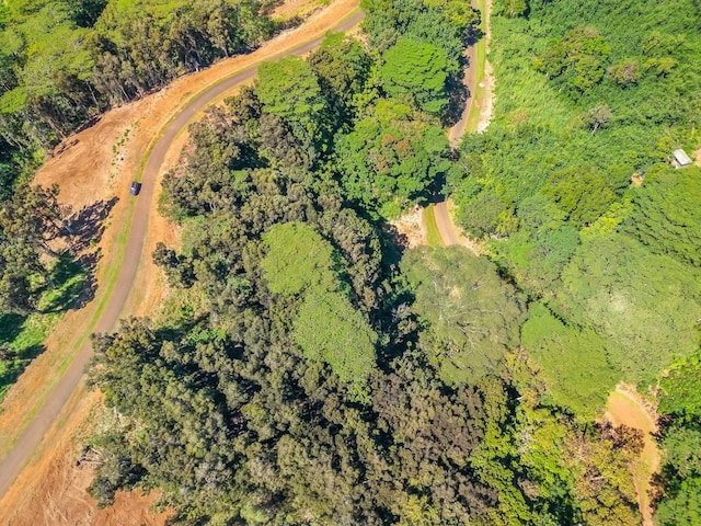 Unit 8D, Kapaa, HI 96746 - photo 2