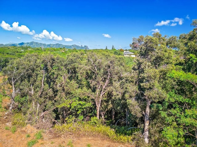 Unit 8D, Kapaa, HI 96746 - photo 4