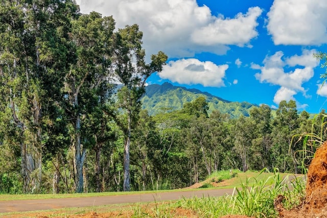 Unit 8D, Kapaa, HI 96746 - photo 5
