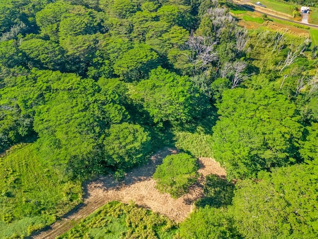 Unit 13E, Kapaa, HI 96746 - photo 1