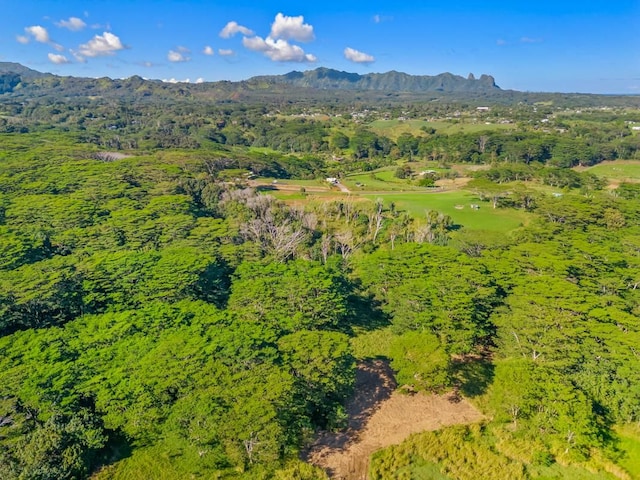Unit 13E, Kapaa, HI 96746 - photo 2