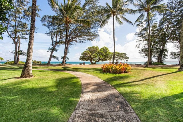 440 Aleka Pl Unit 169, Kapaa, HI 96746 - photo 10