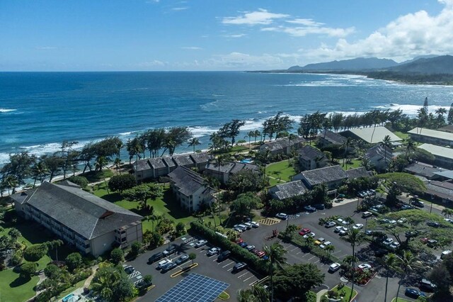 440 Aleka Pl Unit 169, Kapaa, HI 96746 - photo 19