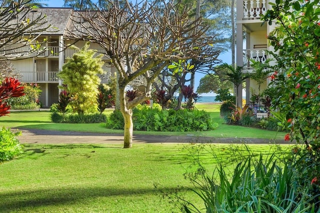 440 Aleka Pl Unit 169, Kapaa, HI 96746 - photo 1