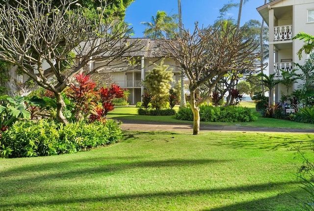 440 Aleka Pl Unit 169, Kapaa, HI 96746 - photo 20