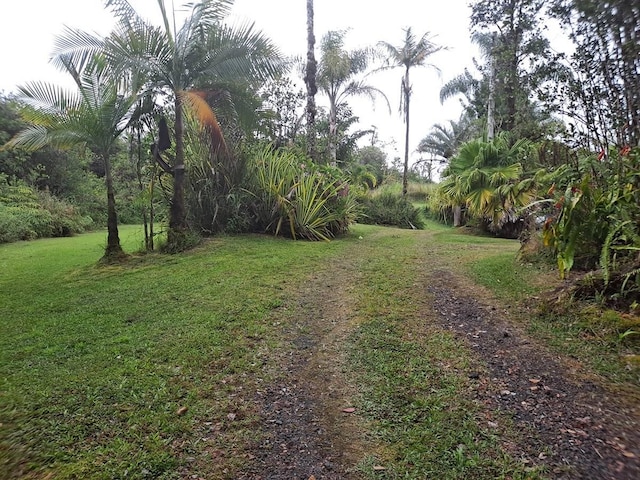 11-3193 Hibiscus St, Mountain View, HI 96771 - view of road