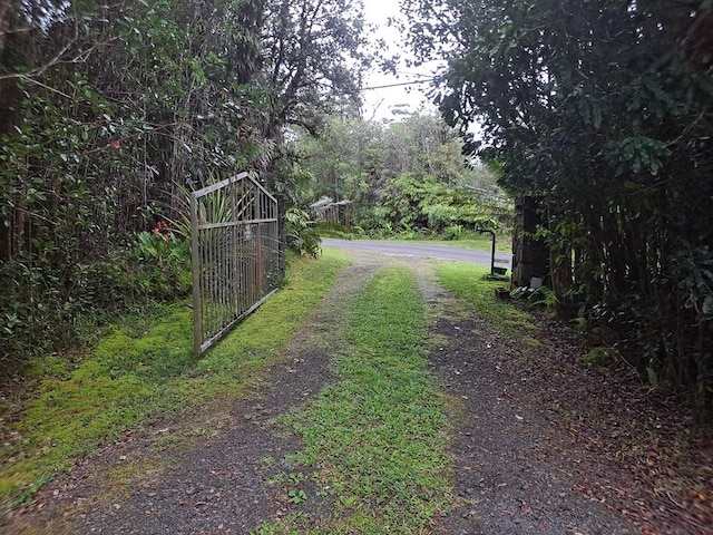 11-3193 Hibiscus St, Mountain View, HI 96771 - view of street with a gated entry