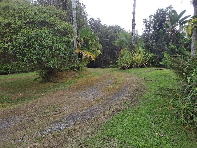 11-3193 Hibiscus St, Mountain View, HI 96771 - view of street