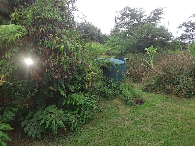 11-3193 Hibiscus St, Mountain View, HI 96771 - view of grassy yard