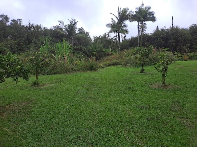 11-3193 Hibiscus St, Mountain View, HI 96771 - view of grassy yard