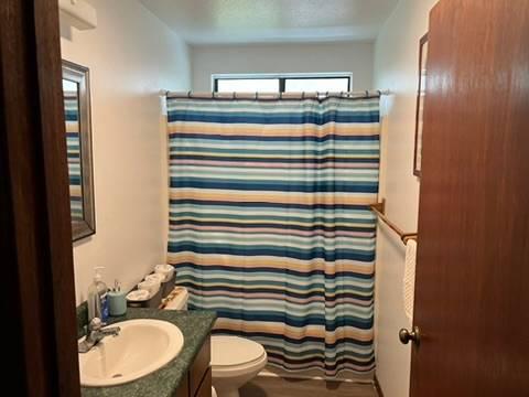 11-3193 Hibiscus St, Mountain View, HI 96771 - bathroom featuring vanity, toilet, and a shower with curtain