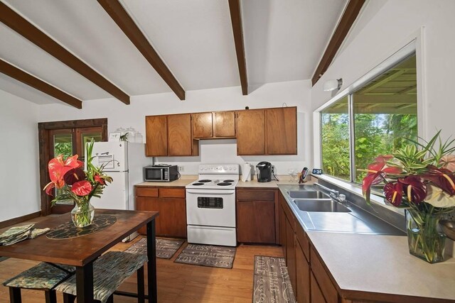 14-820 Kapuna Rd Unit 1, Pahoa, HI 96778 - photo 7