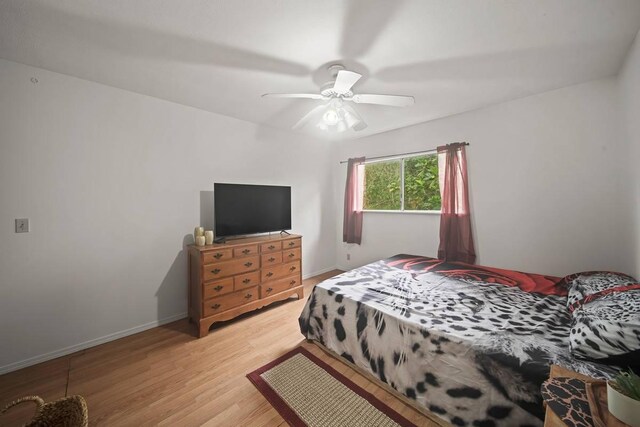 14-820 Kapuna Rd Unit 1, Pahoa, HI 96778 - photo 12