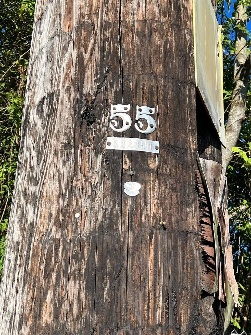 Keaau Pahoa Rd, Keaau, HI 96749