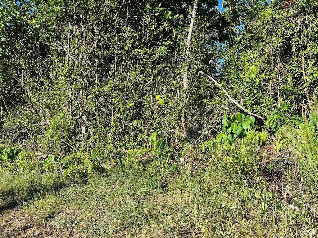 Keaau Pahoa Rd, Keaau, HI 96749
