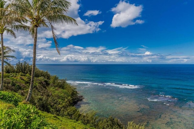 3700 Kamehameha Rd Unit B8, Princeville, HI 96722 - photo 26